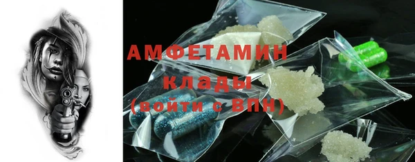 прущие грибы Ачинск