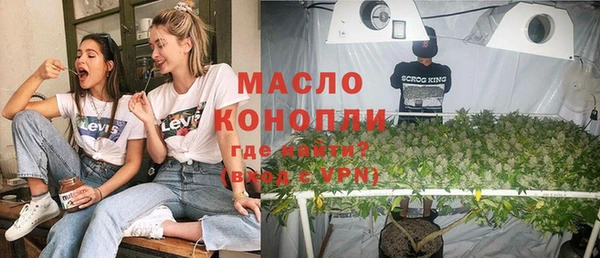 прущие грибы Ачинск