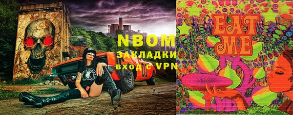 прущие грибы Ачинск