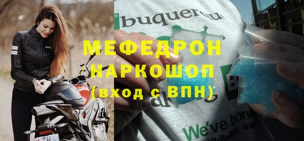 прущие грибы Ачинск