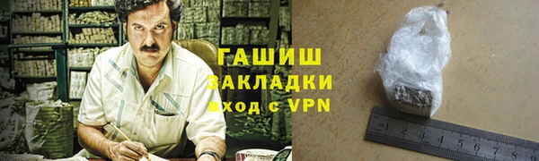прущие грибы Ачинск