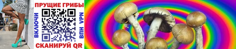 Галлюциногенные грибы MAGIC MUSHROOMS  МЕГА маркетплейс  нарко площадка состав  купить наркоту  Данков 